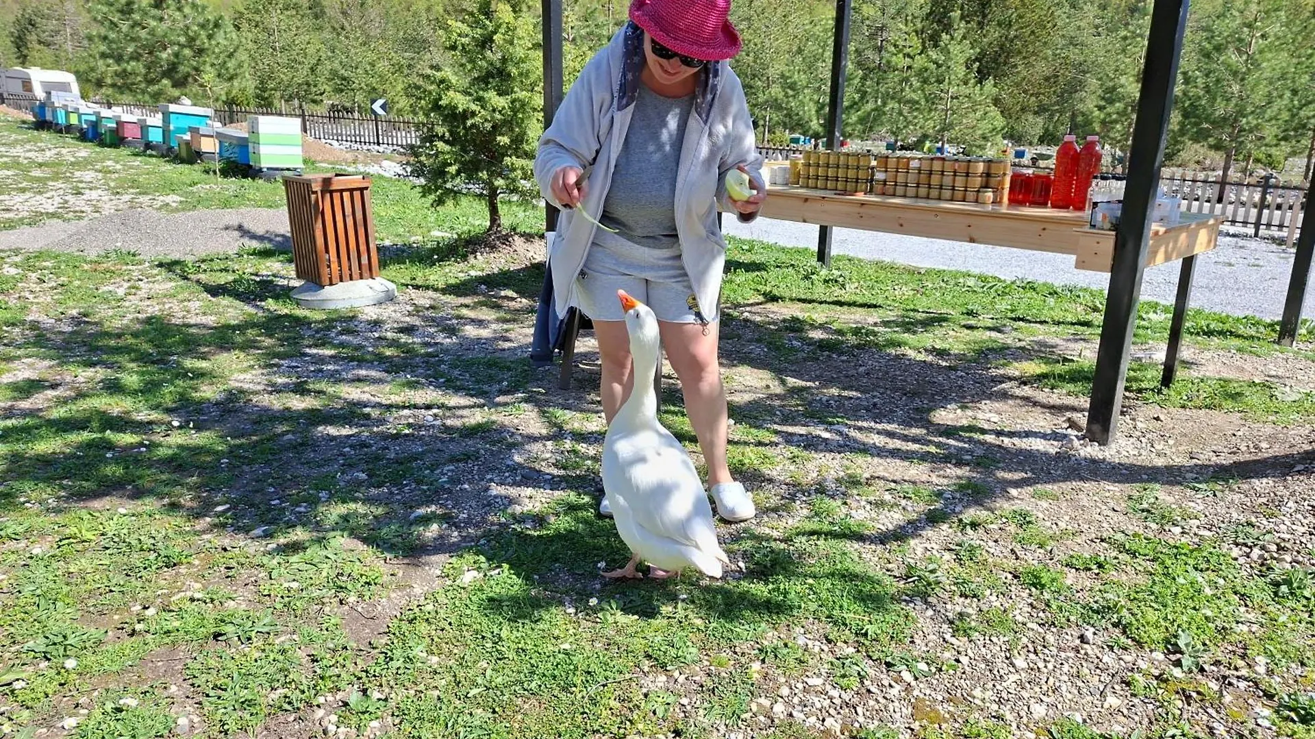 Ferma E Bleteve Stomici Hotel Nderlysaj Albanien